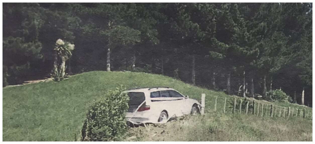 Crash_Crop